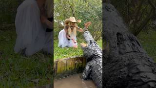 Jaws the Alligator sending Savannah off for Gatorland Global Conservation Work   #shorts #alligator