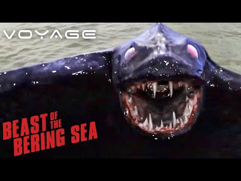 Beast of the Bering Sea | Bloody Sea Vampire Attacks | Voyage