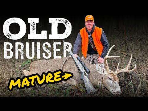 An Old Bruiser | 2024 Kentucky Buck Hunt