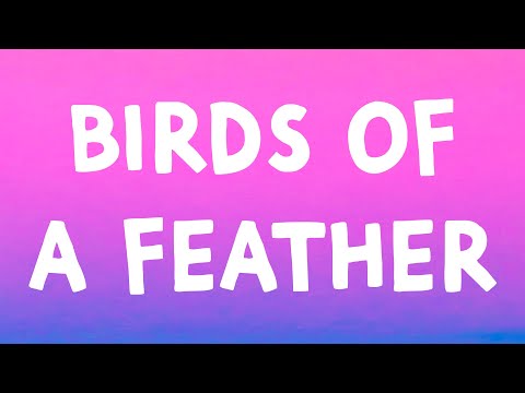 Billie Eilish - BIRDS OF A FEATHER (Lyrics)