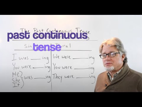 The Past Continuous Tense in English