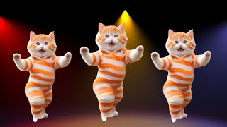 🤣Cats videos funny dance 😃Videos For Cats V💃🎶#funnycats #dancingcat #catviralvideos @furry-cornerz