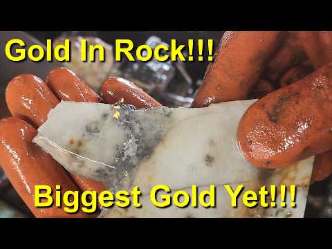 High Grade Gold Specimens, Season 2 Episode 10