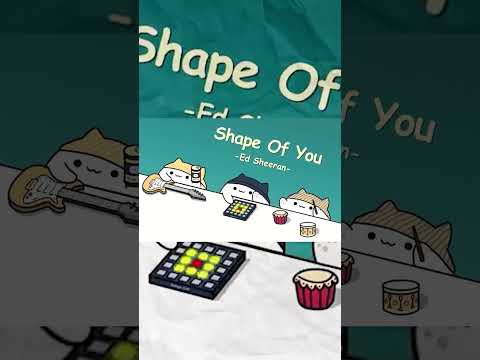 Ed Sheeran - Shape of You (cover by Bongo Cat) 🎧