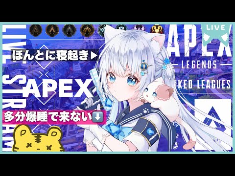 〖apex〗もうすぐプラチナ💎ガチめの寝起き〖#vtuber / #猫海ましろ /#初見さん大歓迎〗