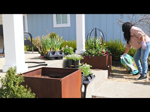 Spring containers for front porch (Indiana garden)