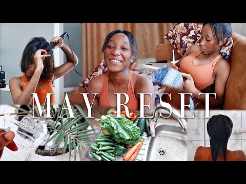 I’m BACK! May Reset | New YouTube & Life Updates