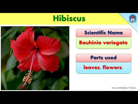 Medicinal Plants | 70 Ayurvedic Plants Names | Scientific names of medicinal plants & parts used