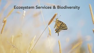 Ecosystem services and Biodiversity - Science for Environment Policy