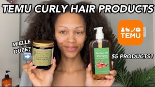 I Tried TEMU Hair Products On My Natural Curly Hair | The Results Are Shocking 😳