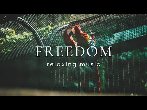 Peaceful Relaxing Guitar Music | Work Study Focus | Freedom