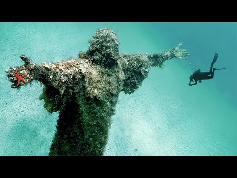 Creepiest Things Found In Nature