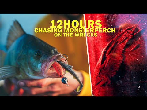 12HOURS chasing MONSTERPERCH on the Wrecks (Caught the same perch twice)