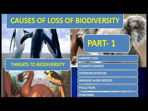 biodiversity; Causes of biodiversity Loss.