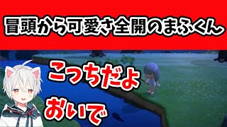 【キュン死注意】かわいさ全開のまふくんボイスまとめ【まふまふ生放送】