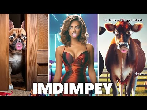 Best IMDIMPEY TikTok Skits of 2024 | Try Not To Laugh Watching ImDimpey