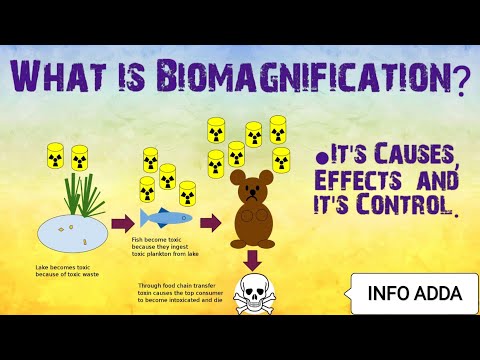 Biomagnification - Environmental issues.Causes, Effects and Controls of Biomagnification.