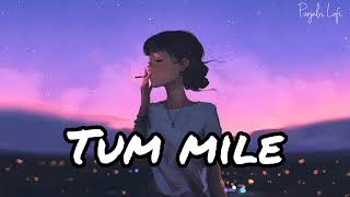 Tum Mile [Slowed+Reverb] - Javed Ali | Punjabi lofi