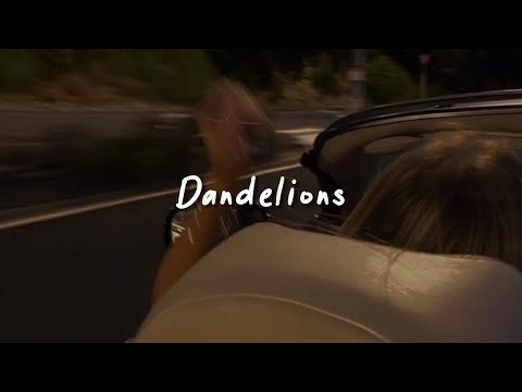 dandelions (slowed reverb + lyrics)