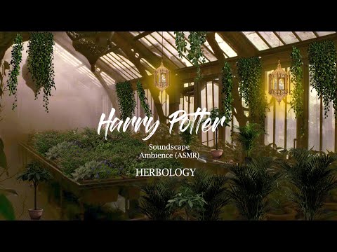 HARRY POTTER - HERBOLOGY - Ambience Soundscape Studying and Relaxing (ASMR) (no music)