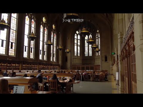 pov: You're studying in a large library at the university you have always dreamed of | Study BGM