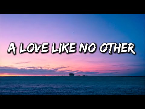 A Love Like No Other -  A Song About True Love, Longing (Lyrics)