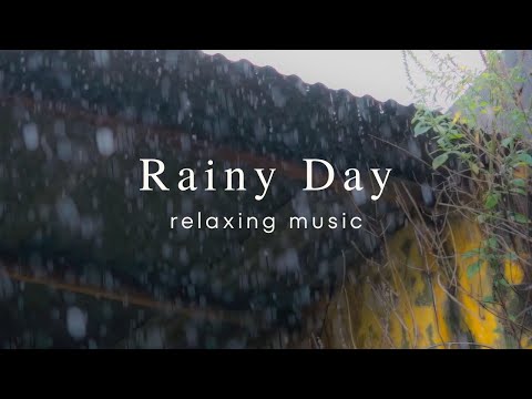 Relaxing Music and Rain | Stress Relief Calm Sleep | 1 Hour