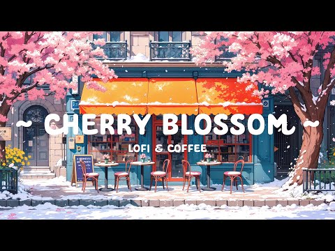 Cherry Blossom 🌸 Positive & Peaceful Mind ☕ Tranquil for Study & Relax [ Lofi Hip Hop - Lofi Music ]