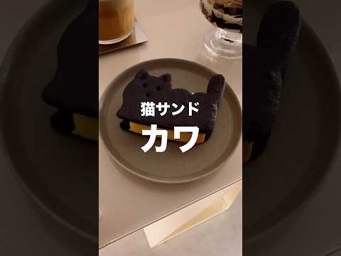 新大久保の最新カフェを正直レビュー！MOO:D