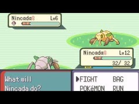 Pokemon Emerald: Shiny nincada random encouter