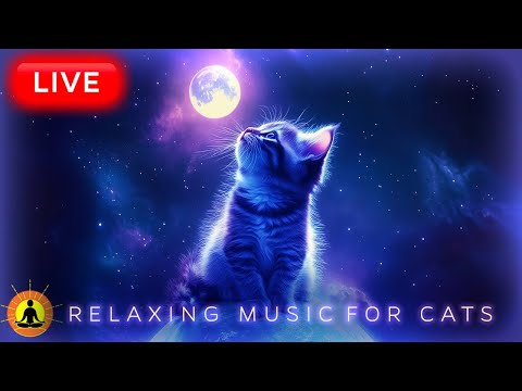 🔴 24 Hours: Relaxing Music for Cats 🐈‍⬛ NO ADS - Cat Purring | Calming Music for Cats with Anxiety