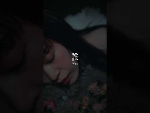 新曲「誰」配信スタート👁️