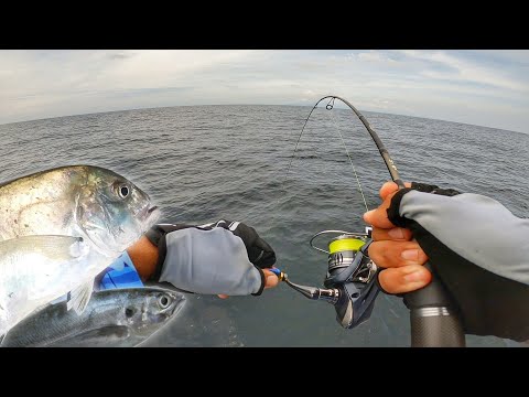 PESTA STRIKE MICRO JIGGING KAPAL RUSIA! | CHAIFishing