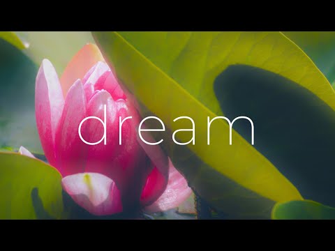 Guitar for Meditation | Peaceful Meditative Music | Dreams