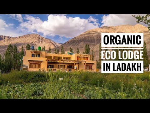 Leh Ladakh's Most Luxurious Eco-Resort In Nubra Valley - Nubra Ecolodge Sumur