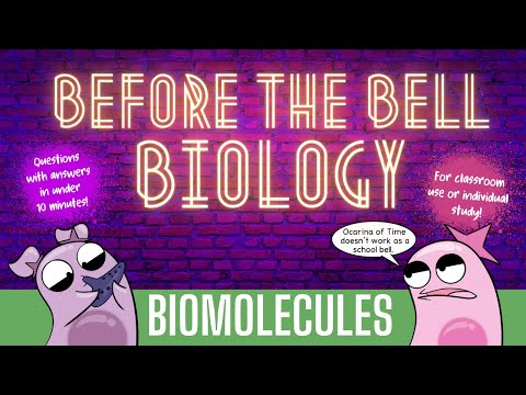 Biomolecules: Before the Bell Biology