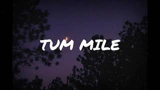 Tum Mile(Slowed+Reverb) | Javed Ali