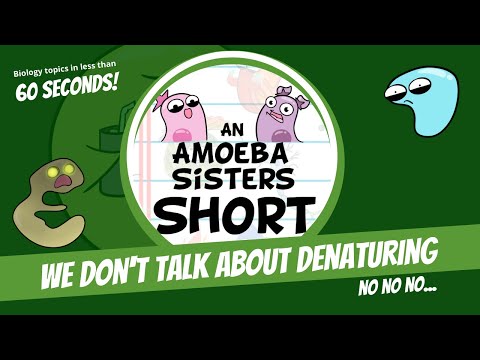 We Don't Talk About Denaturing (No, No, No) - Amoeba Sisters #Shorts