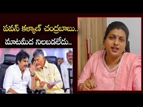 పవన్ కళ్యాణ్ చంద్రబాబు మాటమీద నిలబడలేదు.. RK Roja Reaction On AP Budget 2025 | ZUP TV