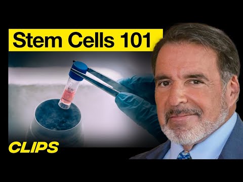 Scientist Explains Stem Cells in 8 Minutes | MOONSHOTS