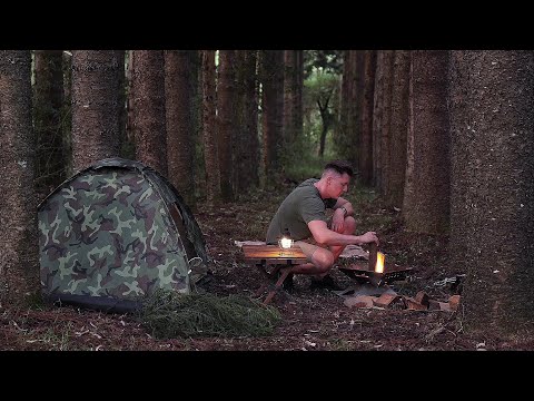 Solo Camping in the CHEAPEST TENT on Amazon without testing [ Relaxing ASMR ]