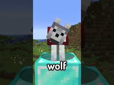 new wolves in minecwaft