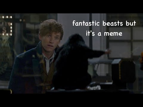 fantastic beasts but it's a meme