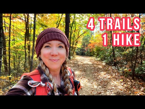 Hiking 4 trails in one day - Schoolhouse Gap Loop (Great Smoky Mountains)