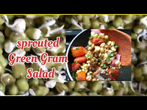 sprouted Green Gram Salad