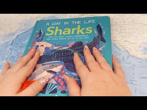 ASMR ~ Facts about Sharks! ~ Soft Spoken