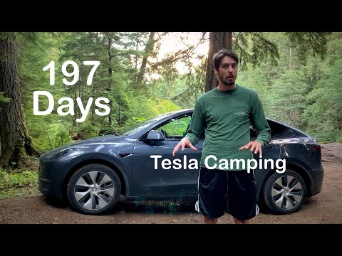 Tesla Model Y Safety Tips