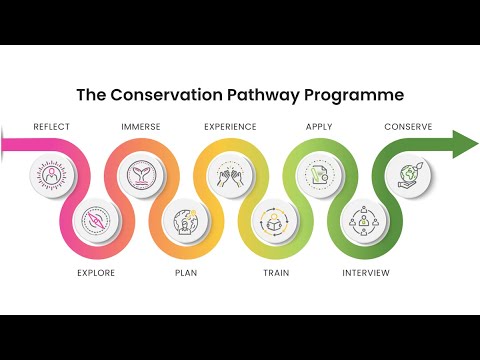 Webinar | Behind the Scenes of the Conservation Pathway Programme