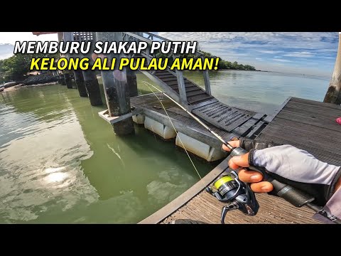 TAK SANGKA ADA Siakap Putih Dekat Sini!!