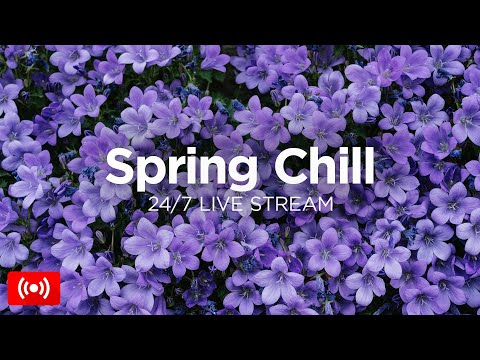 Spring Chill Music 2025 🌷 24/7 Live Stream 🌸 Best Chillout Spring Music Mix by We Are Diamond